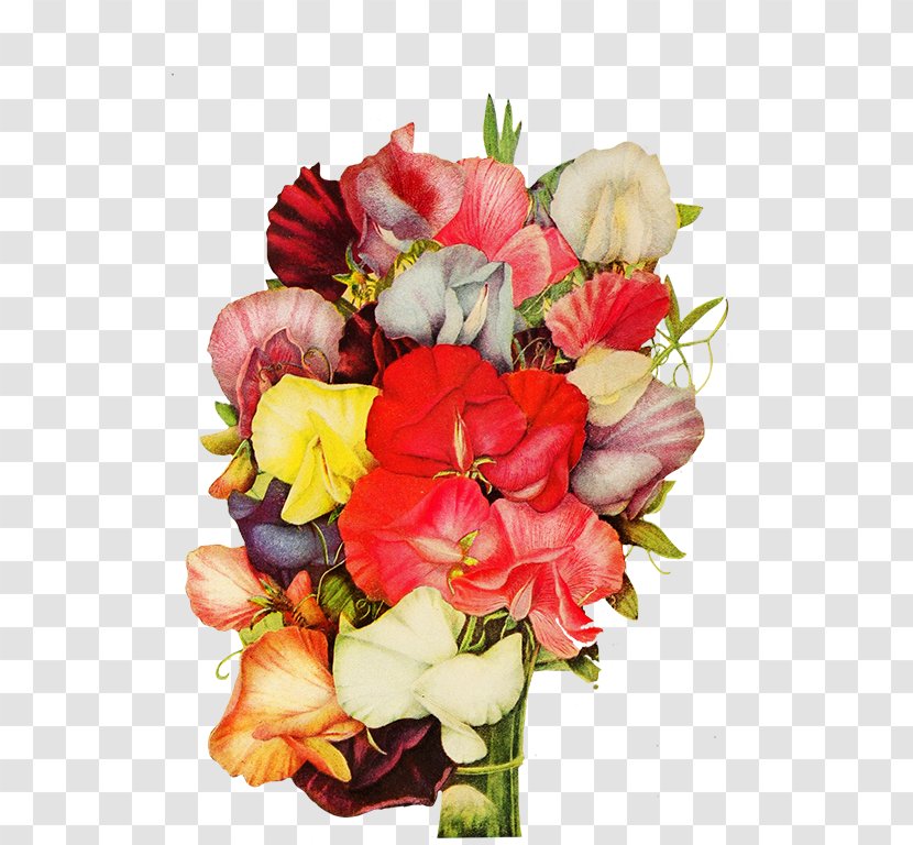 Garden Roses Cut Flowers Floral Design Flower Bouquet - Cartoon Transparent PNG