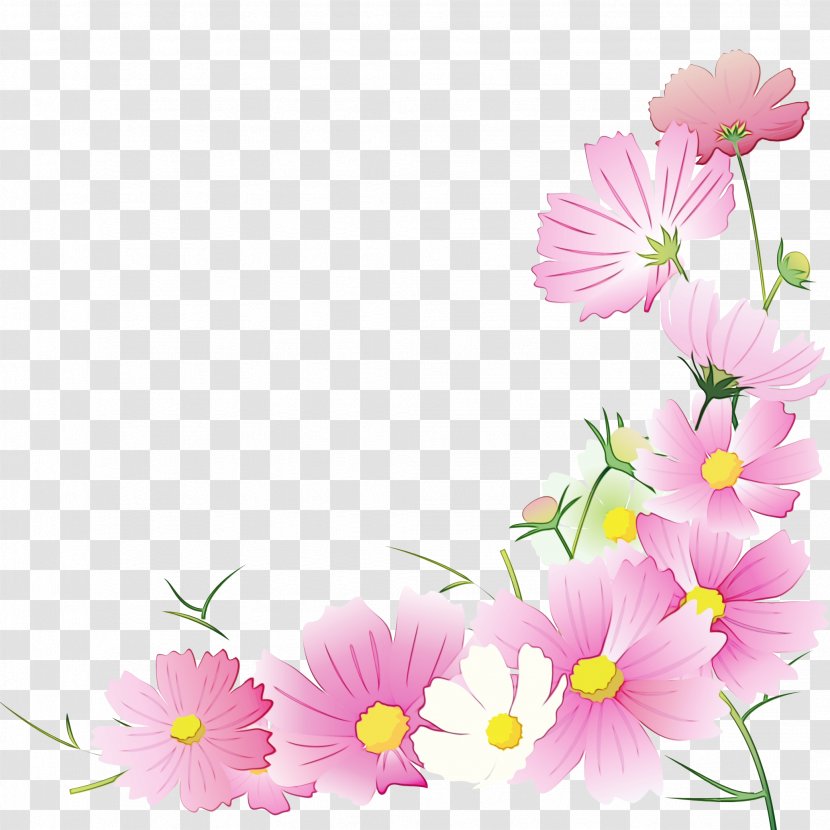 Watercolor Pink Flowers - Daisy - Gerbera Asterales Transparent PNG
