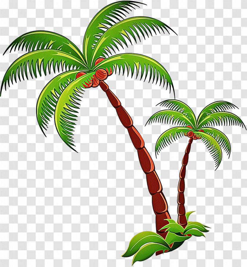 Palm Tree - Plant - Flowering Flower Transparent PNG