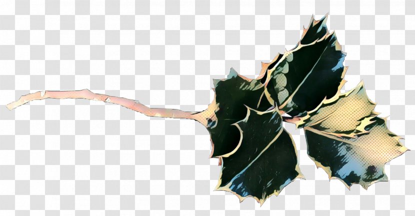 Holly Leaf - Tree - Plane Transparent PNG