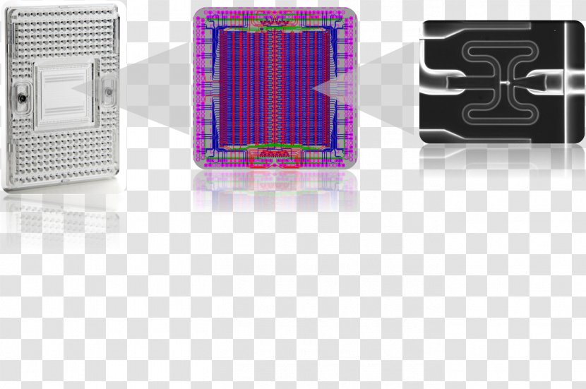 Single-cell Analysis Single Cell Sequencing Fluidigm Corporation Genomics - Microfluidics Transparent PNG