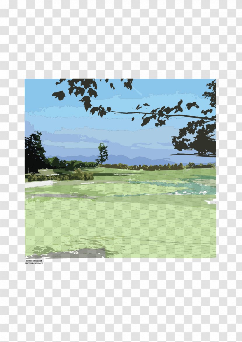 Golf Course Equipment Clubs Ecosystem - Tree - Landscape Architecture Transparent PNG