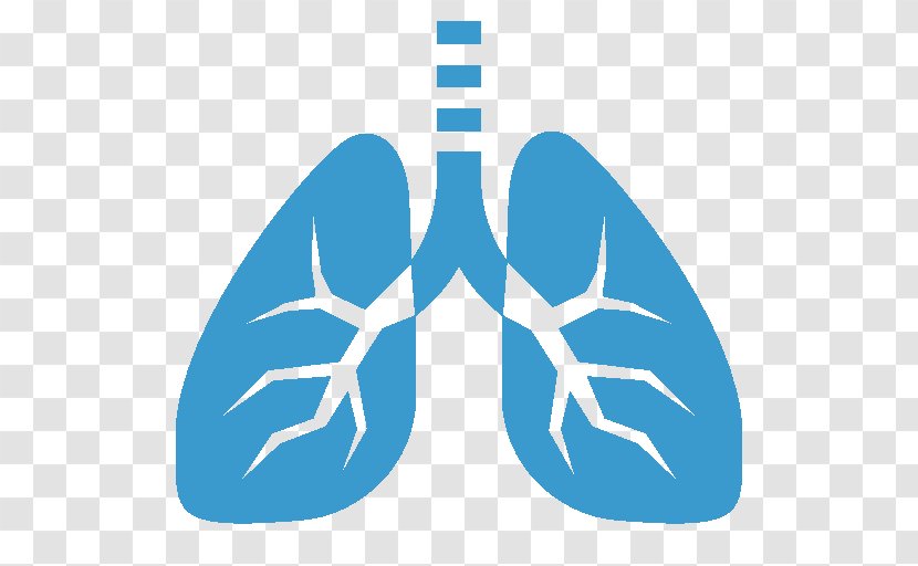Lung Pulmonary Alveolus Clip Art - Heart - Cardiovascular Transparent PNG