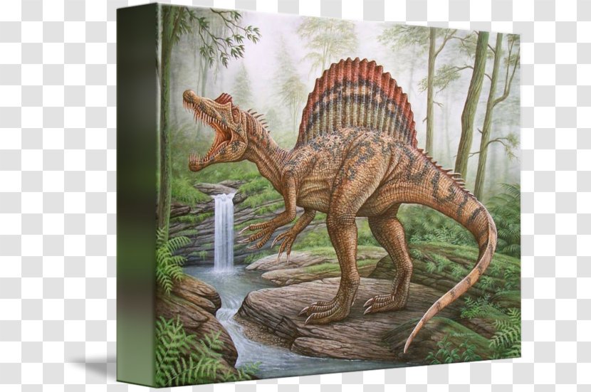 Spinosaurus Watercolor Painting Art - Tyrannosaurus Transparent PNG