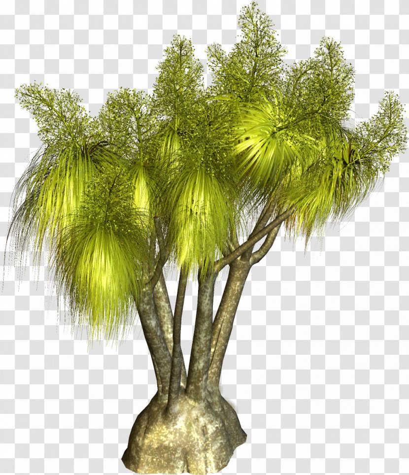 Tree Plant Clip Art - Flowerpot - Palm Transparent PNG
