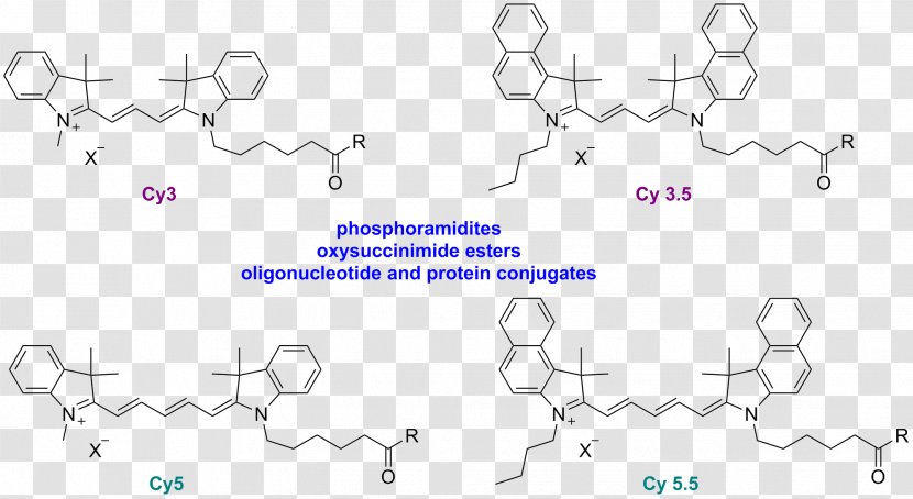 Cyanine Fluorescence Dye HOMO/LUMO Conjugated System - Flower - Frame Transparent PNG