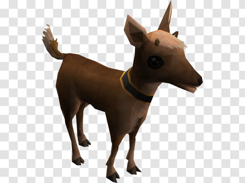 RuneScape Reindeer Video Game Canidae - Tail Transparent PNG