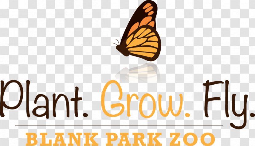 Blank Park Zoo Monarch Butterfly Des Moines, Iowa ICEC Winter Workshop 2018 Garden - Nature Conservation Transparent PNG
