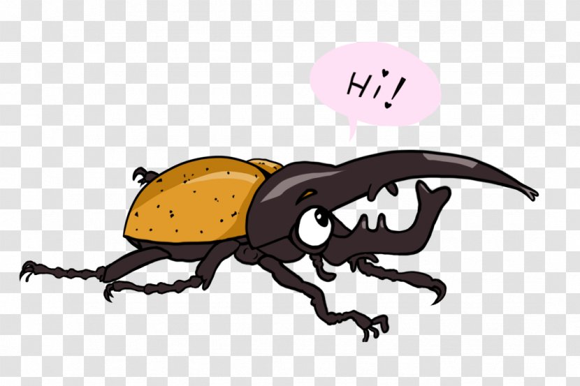 Hercules Beetle Weevil Drawing - Scarabs Transparent PNG
