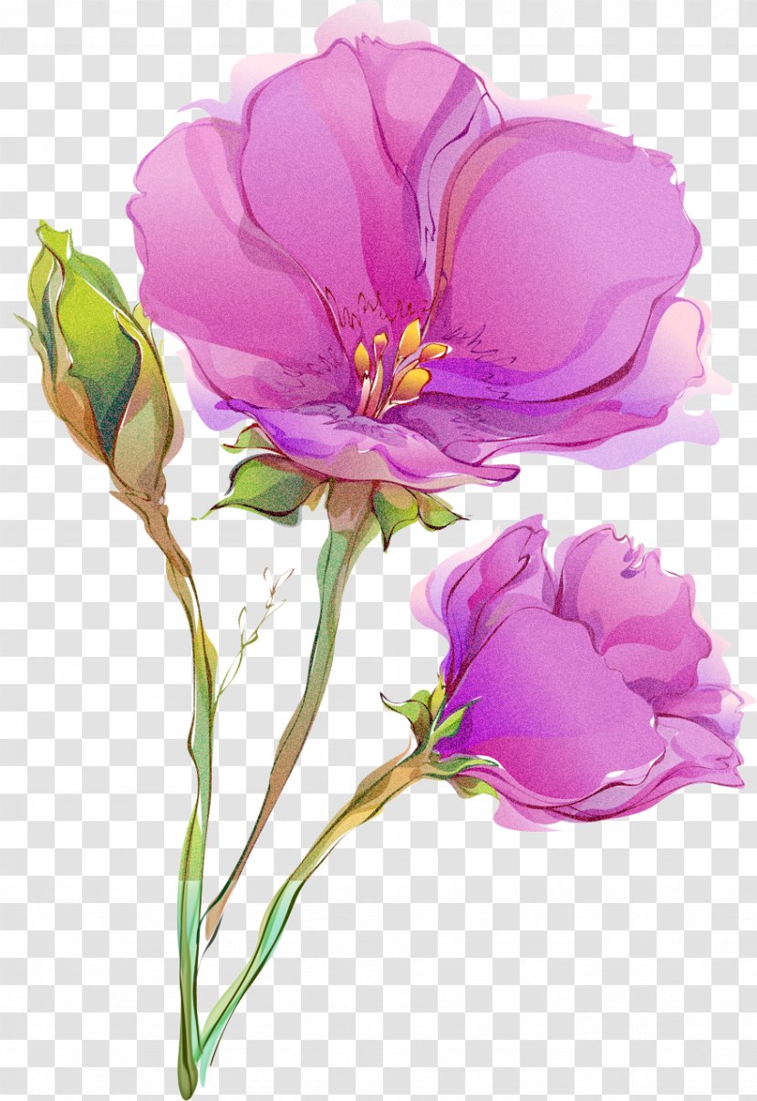 Flower Flowering Plant Petal Violet - Watercolor Paint Pink Transparent PNG