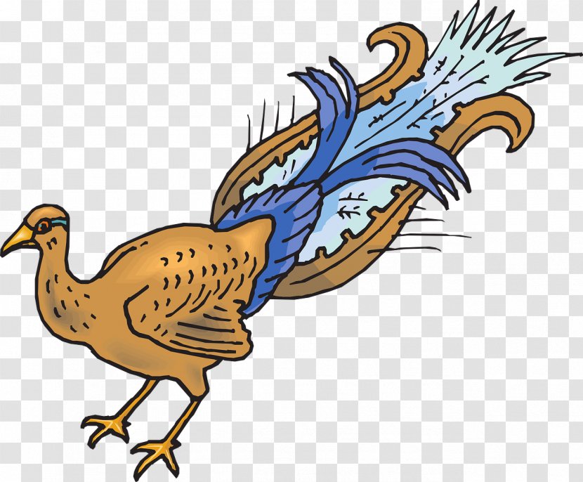 Clip Art Chicken Feather Bird Peafowl - Beak Transparent PNG