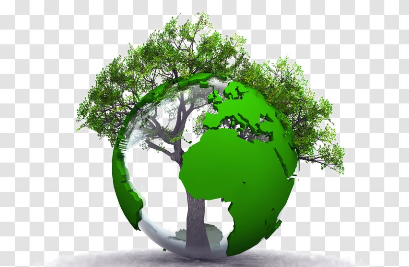 Sustainable Development Environmental Protection Natural Environment Economic Enjeu - Earth Transparent PNG