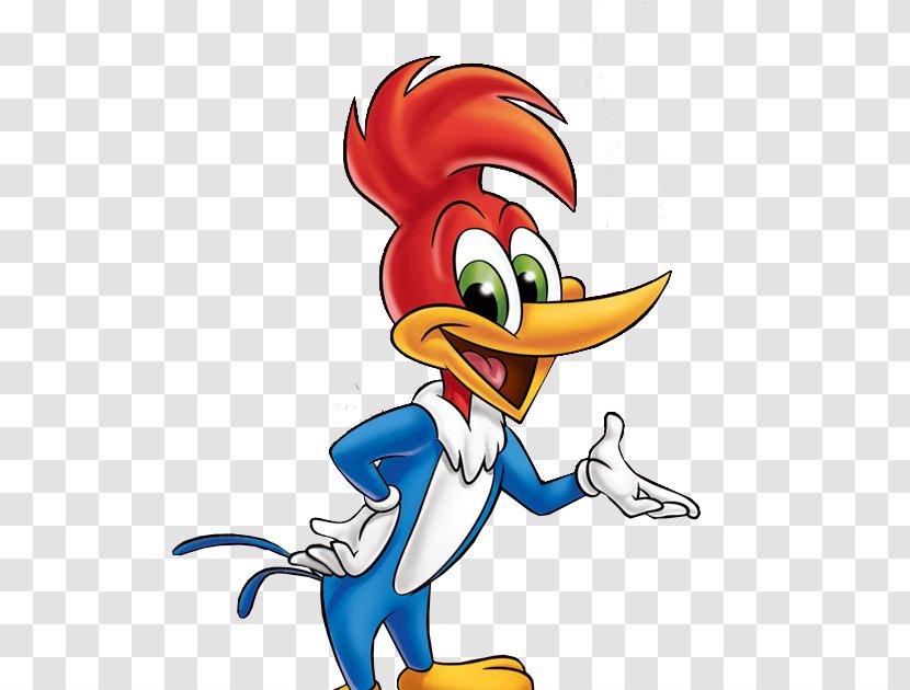 Woody Woodpecker Chilly Willy Drawing Clip Art - Video - Beak Transparent PNG