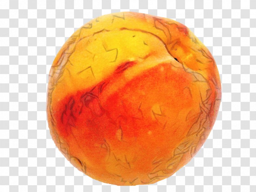 Winter Cartoon - Sphere - Ball Food Transparent PNG