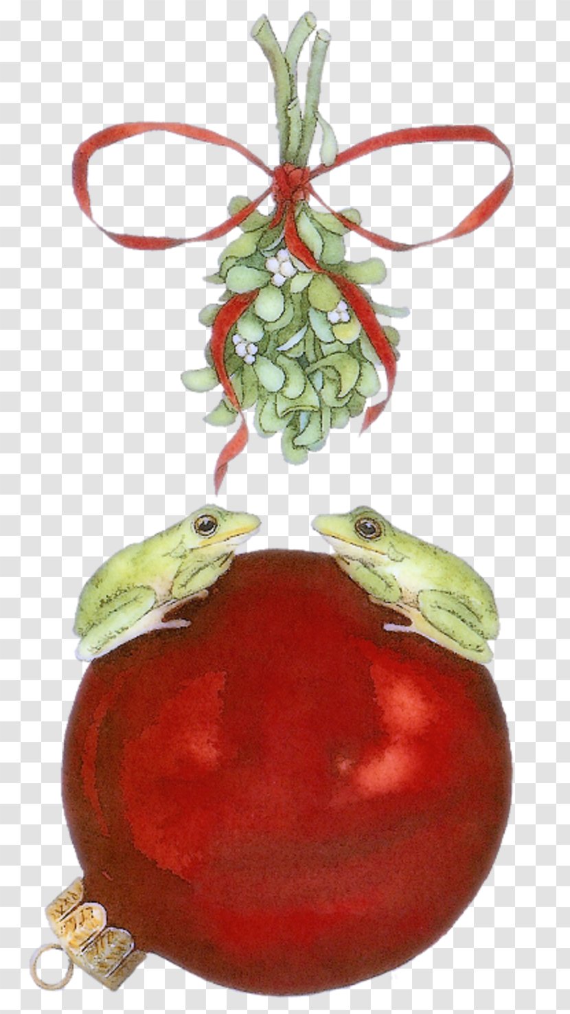 Tomato Pomegranate Juice Christmas Ornament Superfood Cranberry - Vegetable Transparent PNG