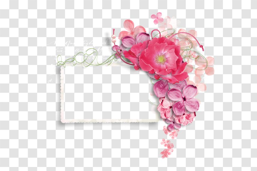 Flower Clip Art Floral Design Picture Frames Image - Delicate Transparent PNG