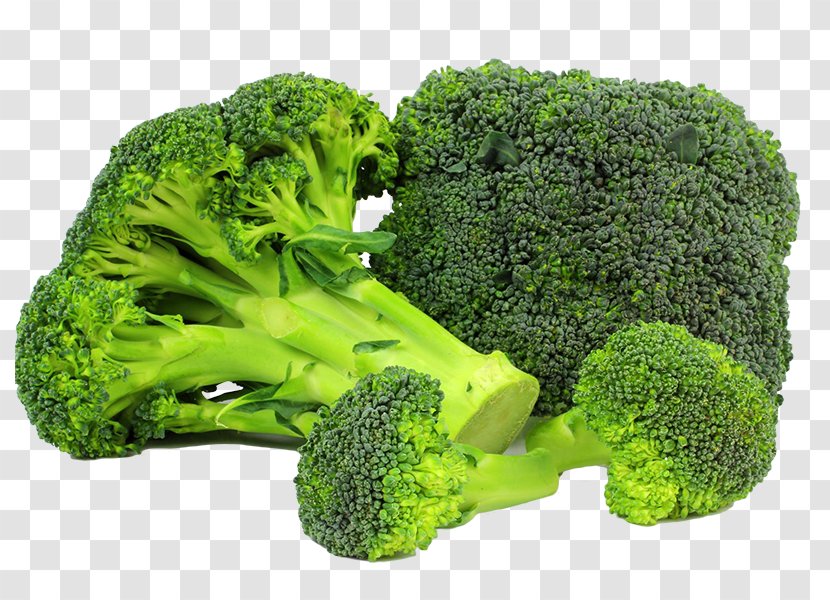 Broccoli Dal Vegetable Vitamin Food - Leaf Transparent PNG