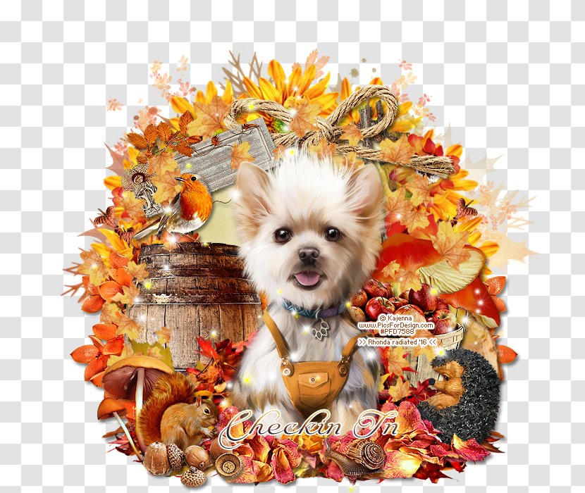 Pomeranian Puppy Dog Breed Companion Toy Transparent PNG