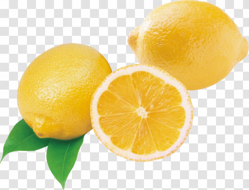 Meyer Lemon Lime Sweet - Bitter Orange - Fresh Transparent PNG