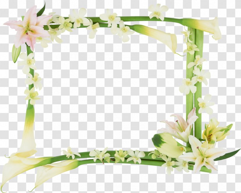 Picture Frames Flower - Hair Accessory - Wounds Transparent PNG