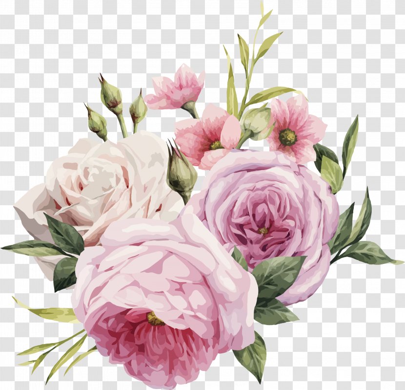 Watercolor Painting Rose Pink Flowers Vector Graphics - Clipart Transparent PNG