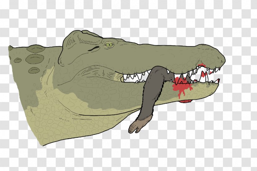 Crocodiles Crocodylus Anthropophagus Voay Art Predation - Animal - Crocodylomorpha Transparent PNG