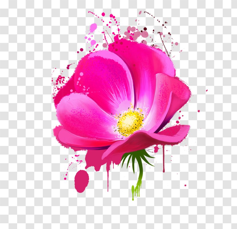 Floral Design Flower Watercolor Painting - Rose Transparent PNG