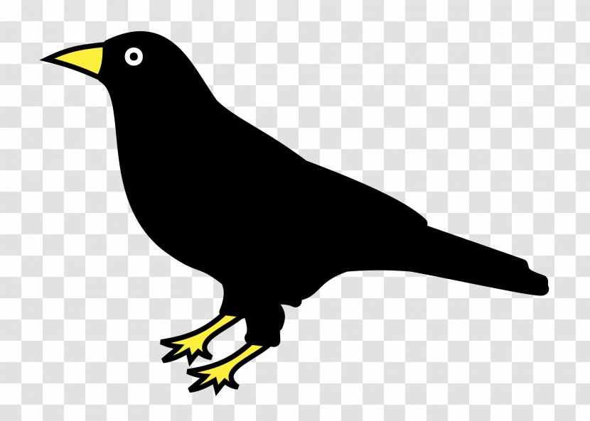 Raven Drawing Corvo Clip Art - Common Transparent PNG