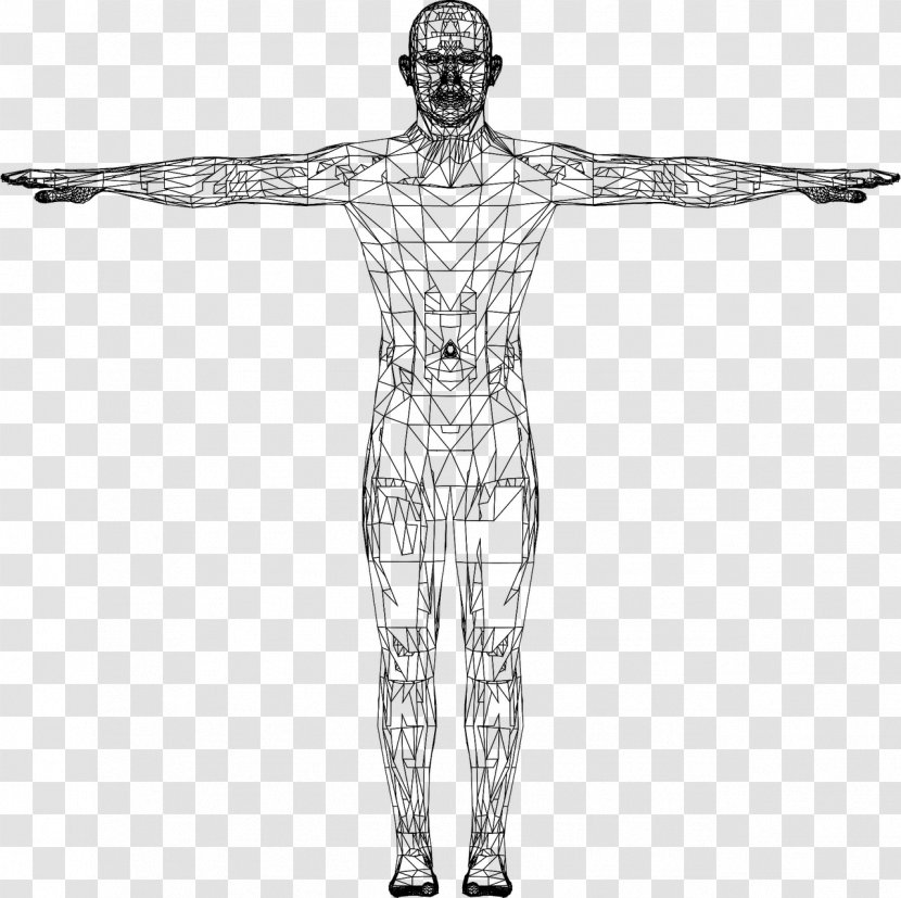 Website Wireframe Man - Tree - Euclidean Vector Transparent PNG