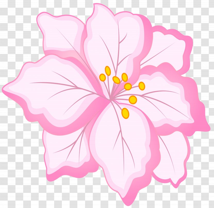 Flower Clip Art - Mallow Family - White Pink Image Transparent PNG
