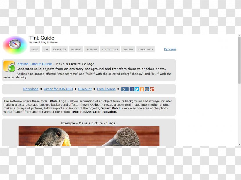 Computer Software Web Page Multimedia Xnview Ferret Transparent Png