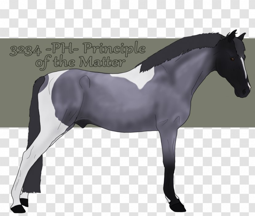 Mane Rein Stallion Mustang Horse Harnesses - Yonni Meyer Transparent PNG