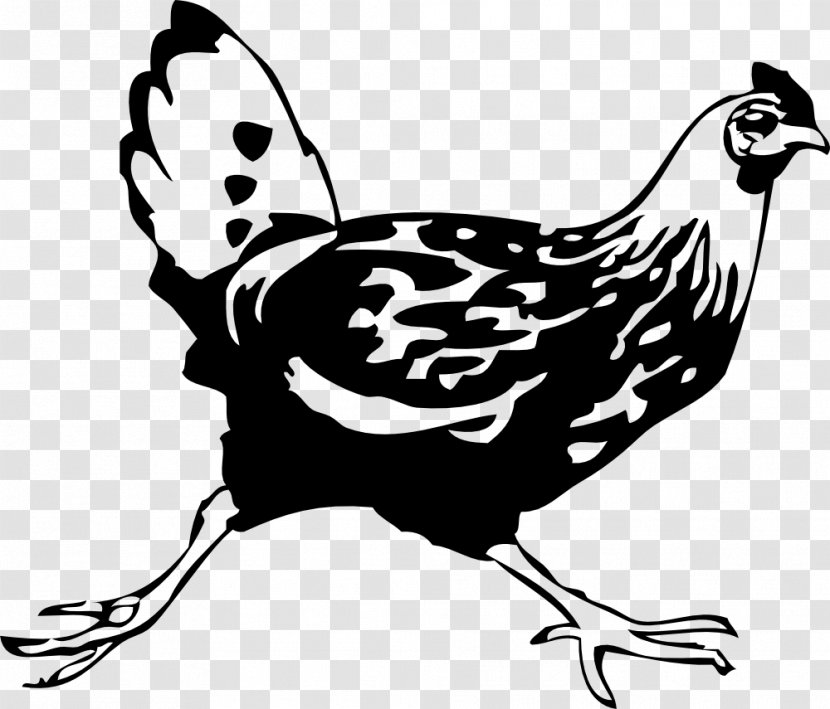 Leghorn Chicken Cochin Silkie Rooster Clip Art - Egg Transparent PNG
