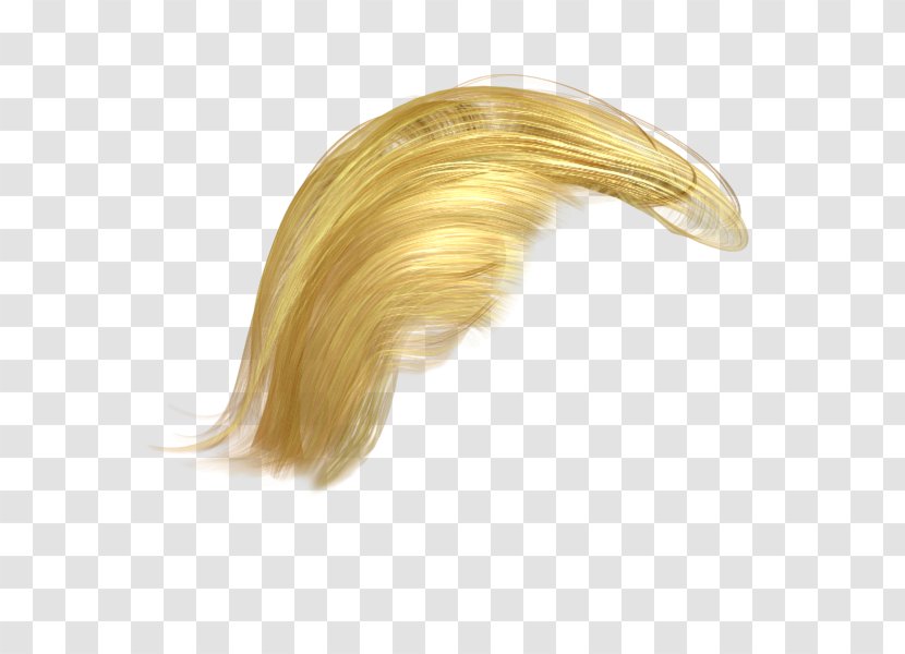 Hair Image Transparency Wig - Donald Trump Transparent PNG