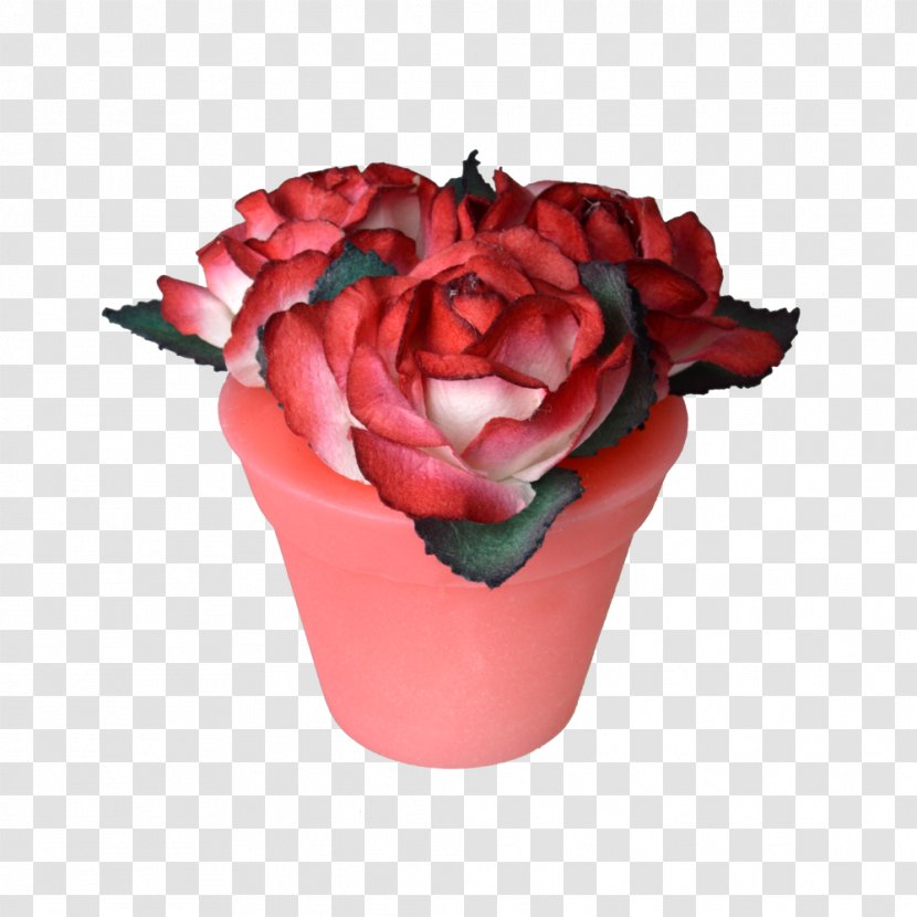 Flowerpot Rosaceae Garden Roses Cut Flowers - Rose Order Transparent PNG