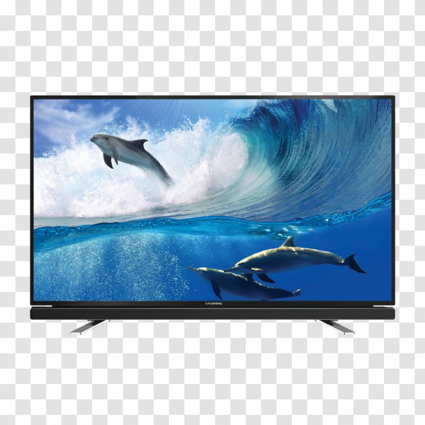LED-backlit LCD High-definition Television TV GRUNDIG 1080p - Marine Mammal - Träne Transparent PNG