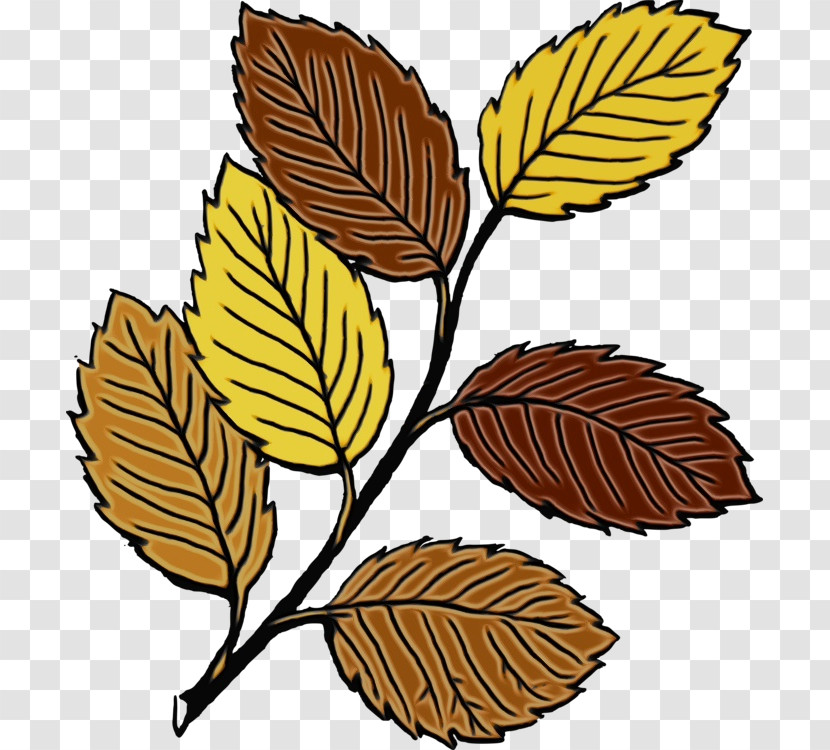 Leaf Drawing Cartoon Plant Stem Logo Transparent PNG