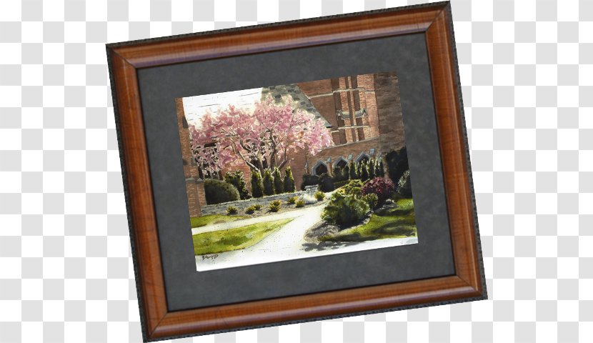 Still Life Picture Frames Rectangle Flower - Palm Print Transparent PNG