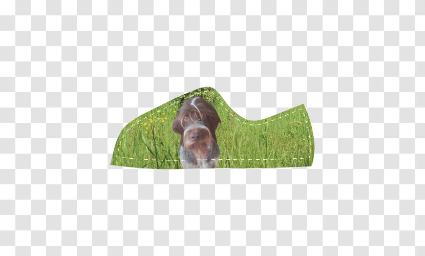 Dog Breed Wirehaired Pointing Griffon German Pointer Leash - Grass - Kid-pointing Transparent PNG