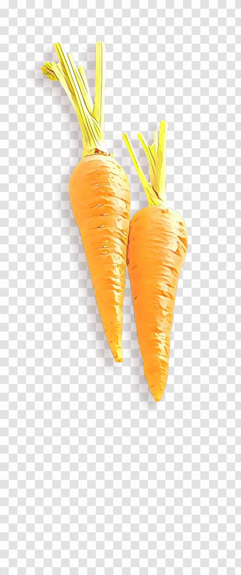 Orange - Cartoon - Plant Baby Carrot Transparent PNG