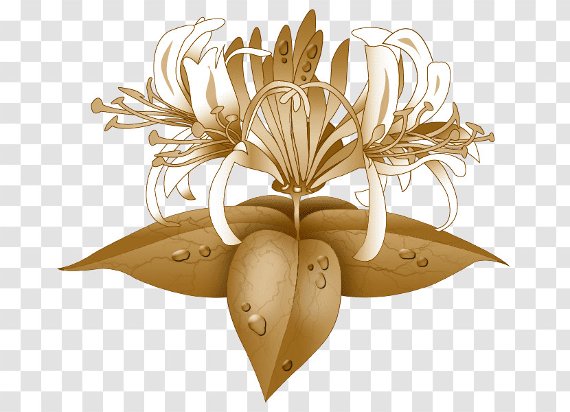 Leaf Plant Flower Petal Light Fixture Transparent PNG