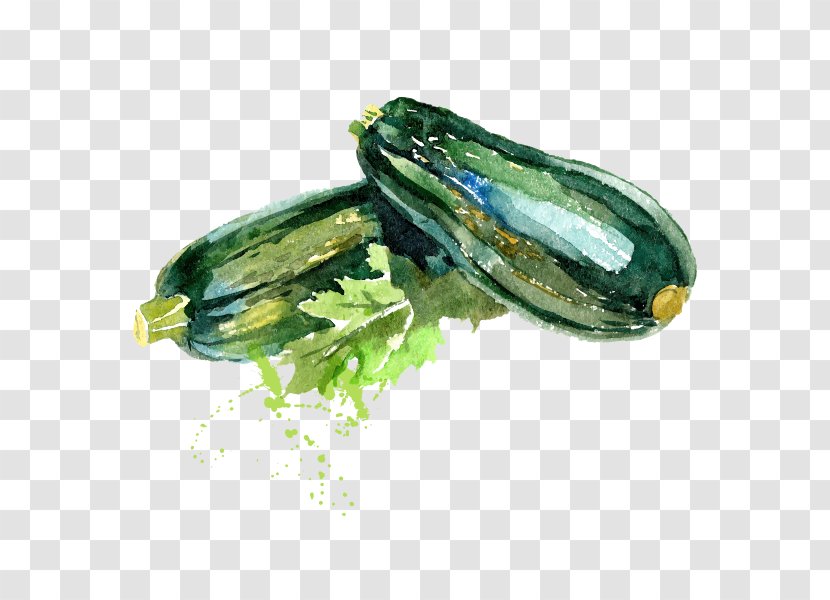 Zucchini Illustration Recipe Vegetable Food - Gherkin - Cartoon Transparent PNG