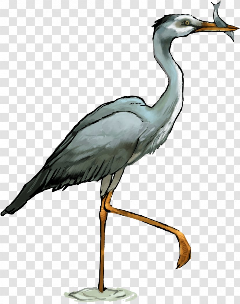 Crane Bird - Water Seabird Transparent PNG