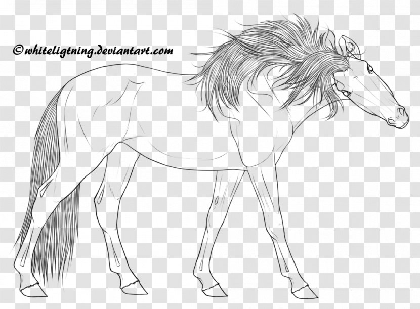 Mane Line Art Pony Foal Sketch - Horse Like Mammal - Lineart Transparent PNG