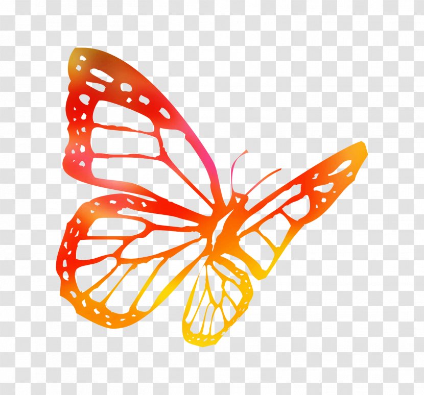 Butterfly Line Drawings Coloring Book Image - Pollinator Transparent PNG