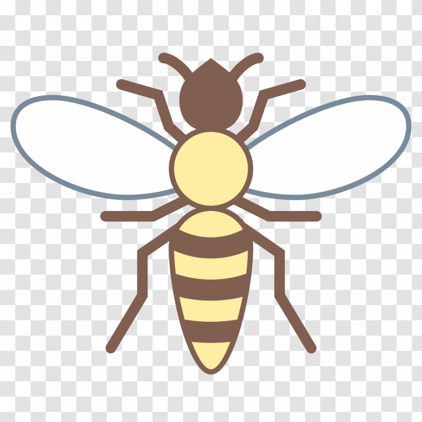 Insect Honey Bee Pollinator Animal - Invertebrate - Wasp Transparent PNG