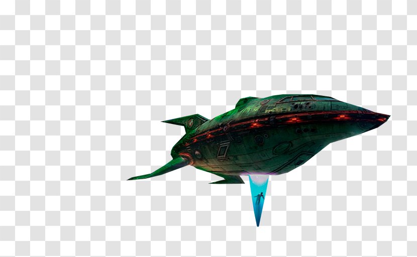 Reptile Marine Mammal Fish - Fin Transparent PNG