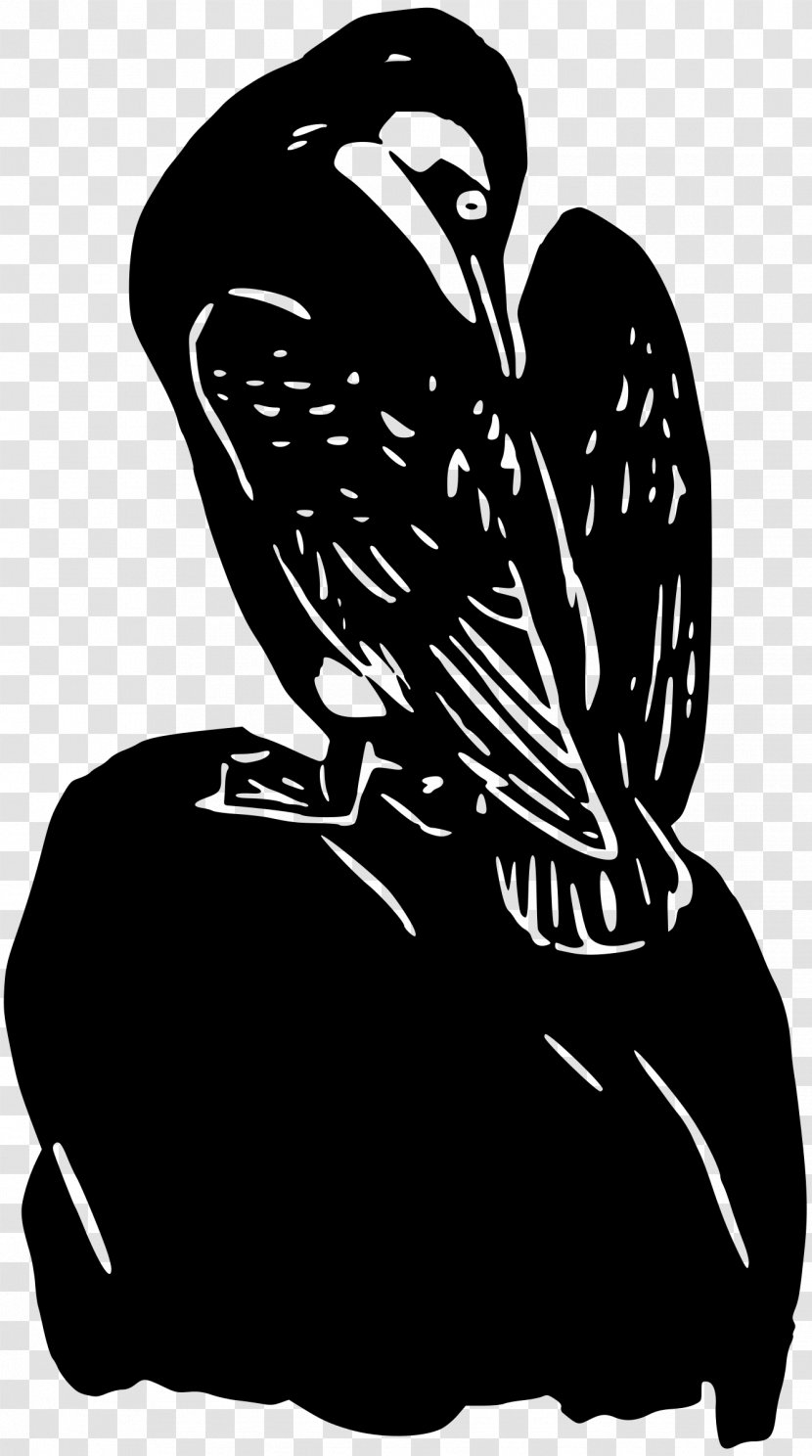 Bird Beak Owl Clip Art Transparent PNG