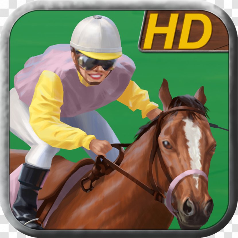 Horse Racing Mane Stallion Halter Transparent PNG