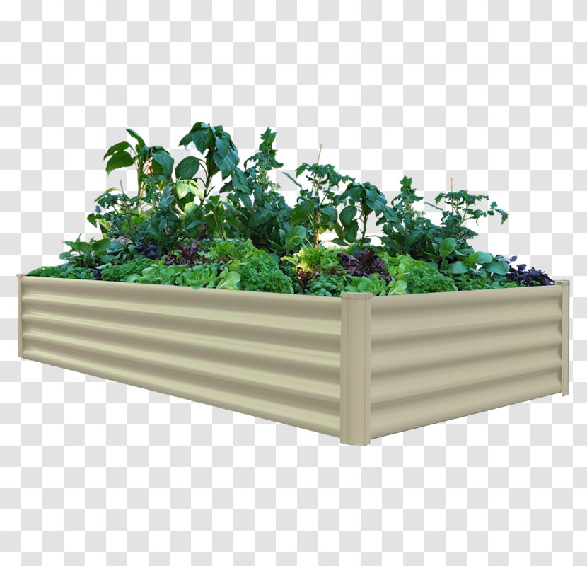 Organic Food Raised-bed Gardening Garden Green Wall - Vegetable Transparent PNG